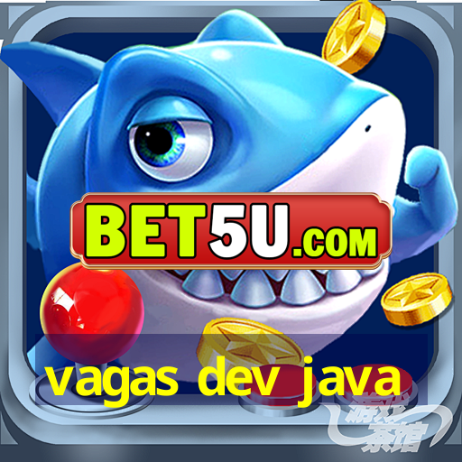 vagas dev java